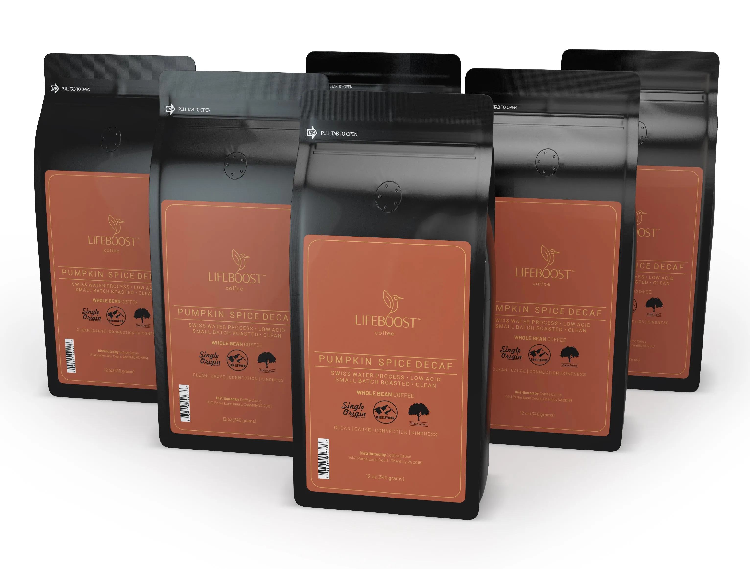 6x  Pumpkin Medium Decaf Coffee 12 oz Bag-SP