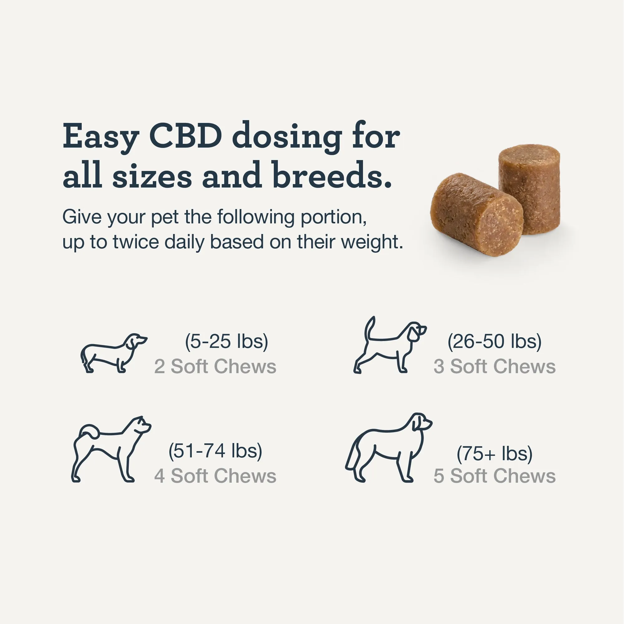 CBD Skin Recovery Chews