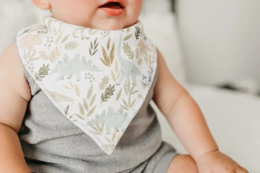 Copper Pearl - Bandana Bib (4 pack) - Rex