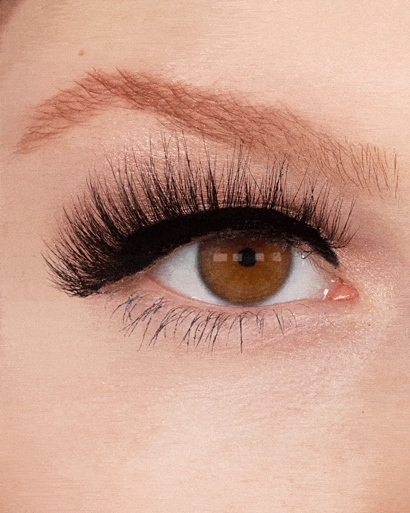 NEW! LASHOUT Lashes Delila